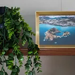 Сasa de vacaciones Carmo Family House - Azorean Ponta Delgada